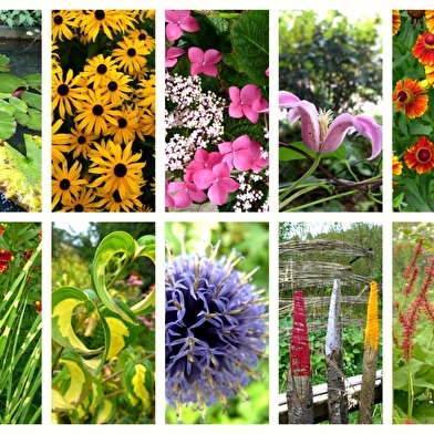 Le jardin de la ferrière