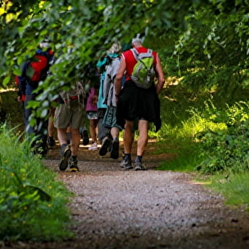 Marche Nordique à ACTIVITAL - MONTSAUCHE-LES-SETTONS