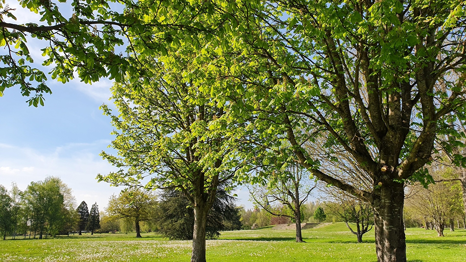 Circuit parcs et jardins de Paray-le-Monial