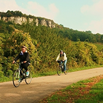 Active Tours - Journée vélo et vin en Côte de Beaune (durée 7h30) - BEAUNE