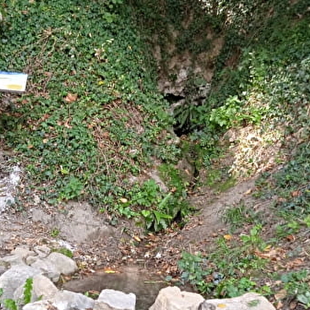 Source des Vreilles - CERCY-LA-TOUR