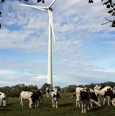 Site éolien de Chamole