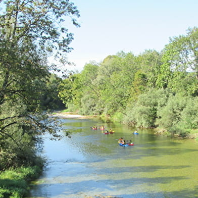 Grenouille canoë