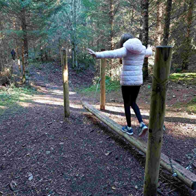 Sport & bien-être en forêt, parcours sportif