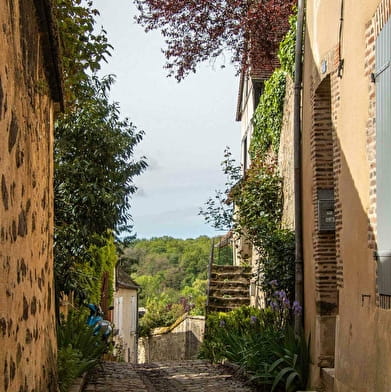 Des ruelles pavées de Toucy aux trognes du Bois des Quatre Francs