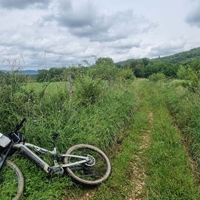 Liaison VTT (L2) Ceyzériat - Ile Chambod Gorges de l'Ain