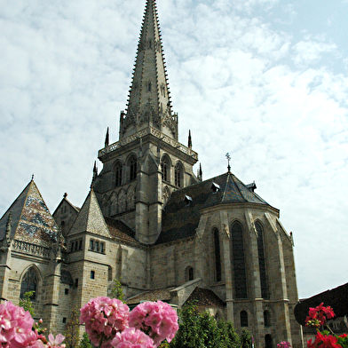 Visite guidée de la Cathédrale Saint-Lazare
