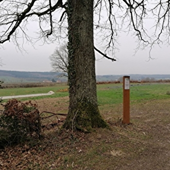 Lieu de parachutage - Seconde Guerre mondiale - POUILLOUX