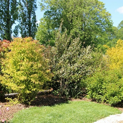 Jardin 'A la croisée des sens'