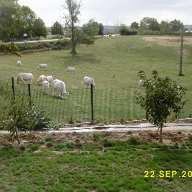 Gîte Les Hirondelles de la Loire
