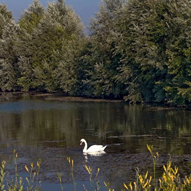 Réserve naturelle régionale de la basse-savoureuse