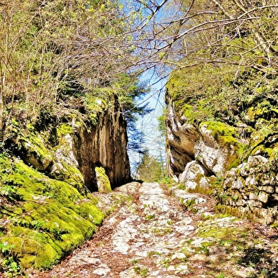 Le sentier du passage antique de Chalamont