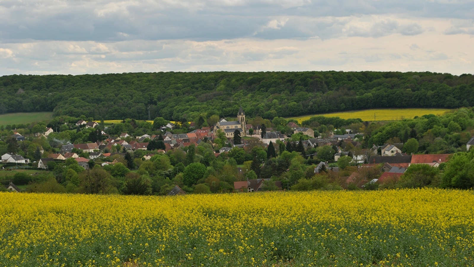 Le sentier des Orchidées