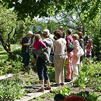 Découverte des plantes médicinales - LA RIVIERE-DRUGEON