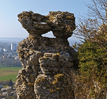 Réserve naturelle du Sabot  - FROTEY-LES-VESOUL