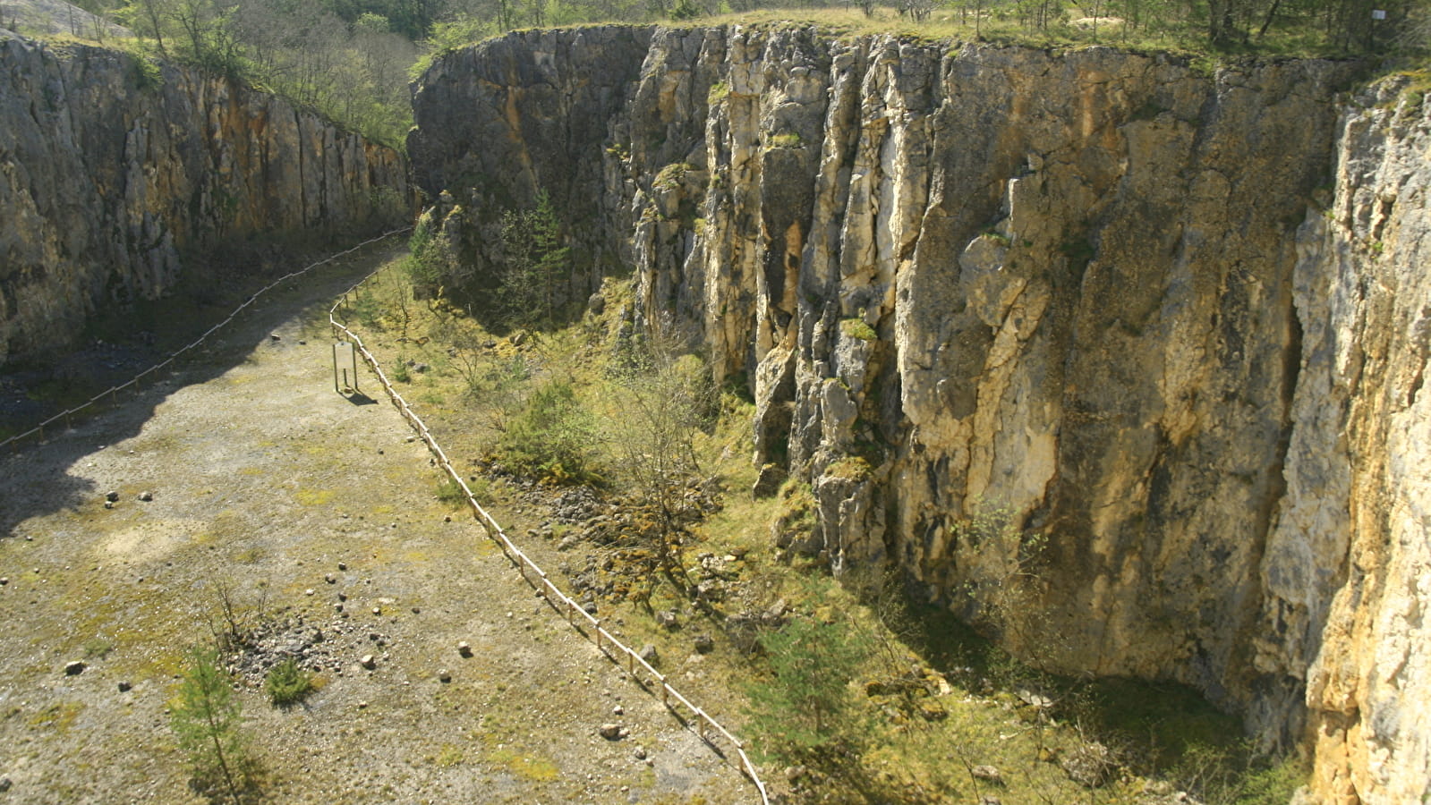 Au cœur du récif corallien de la Réserve Naturelle Nationale du Bois du Parc, à Mailly-le-Château
