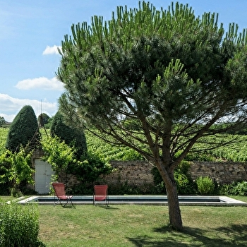 Le Paradis de Marie - SAINT-AMOUR-BELLEVUE