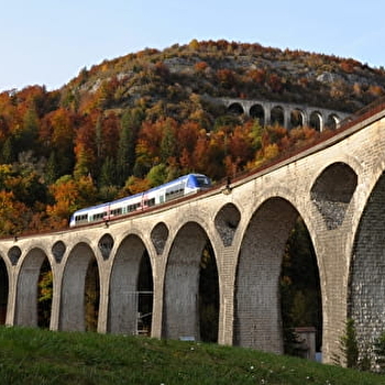 La Ligne des Hirondelles - SAINT-LAURENT-EN-GRANDVAUX