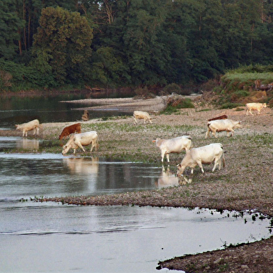 Camping de la Chevrette