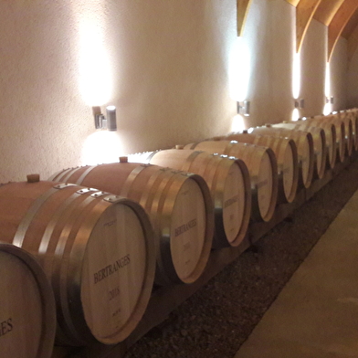 Caves de Pouilly sur Loire