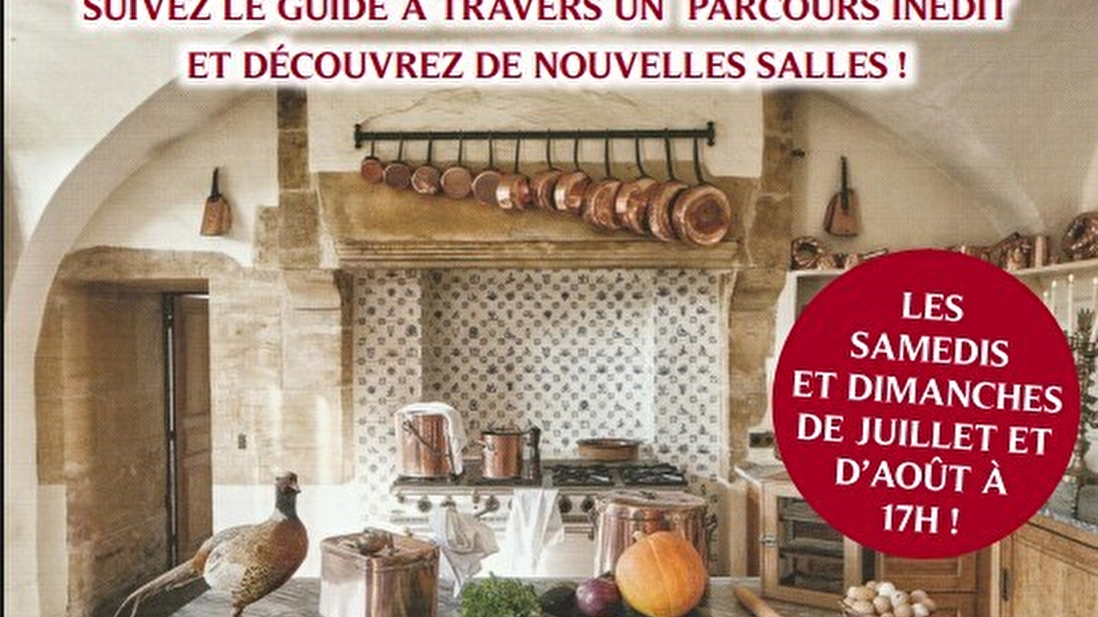 Visites Privilège du Château de Digoine