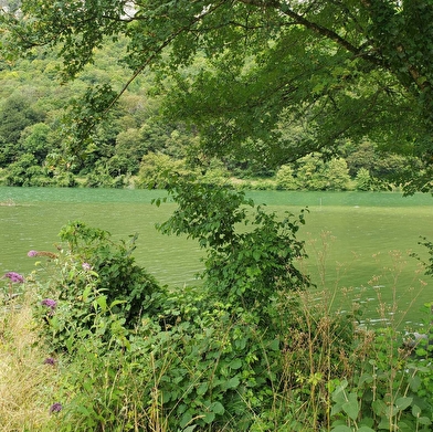 Randonnée - Autour de la Malapierre