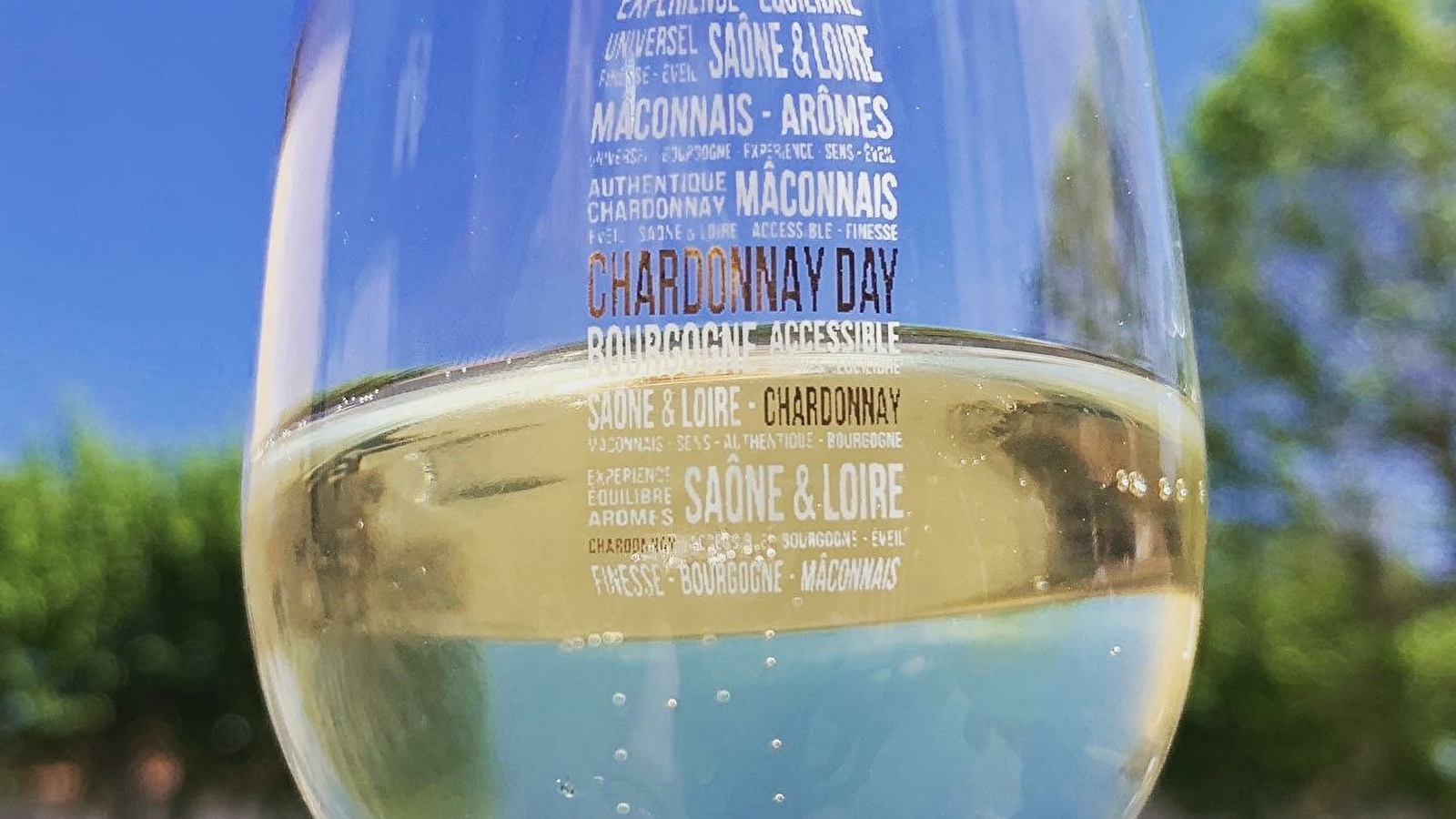 Chardonnay day !