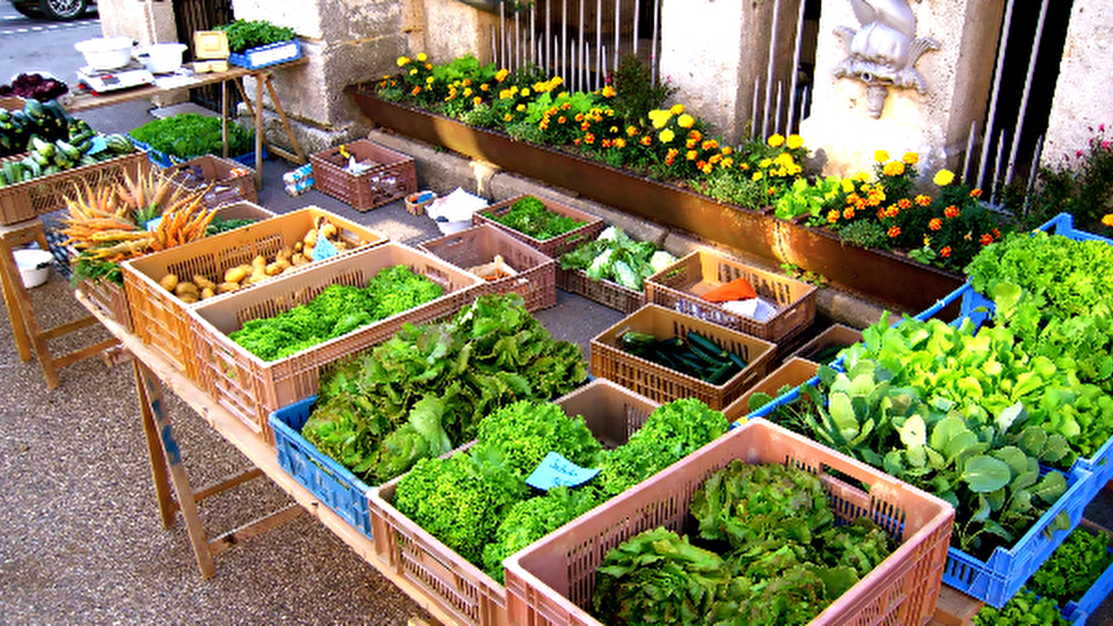 Les jardins de Vauvenise