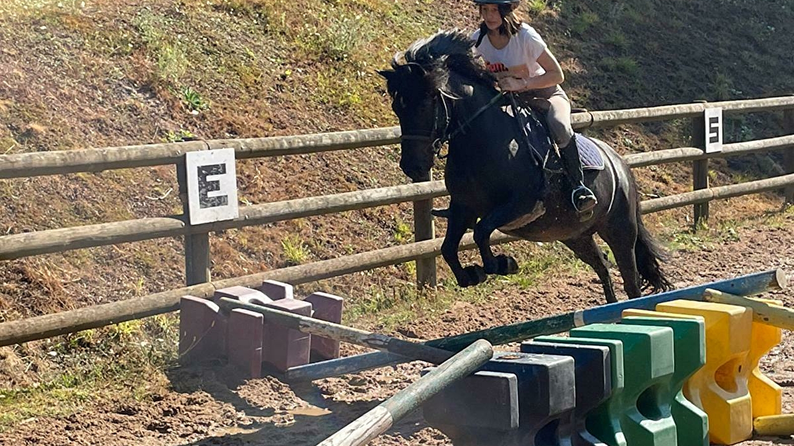 Poney club du Croux