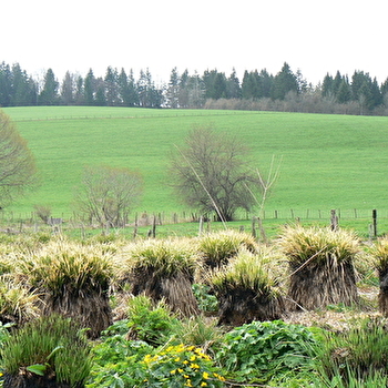 Cagnard - MOUTHE