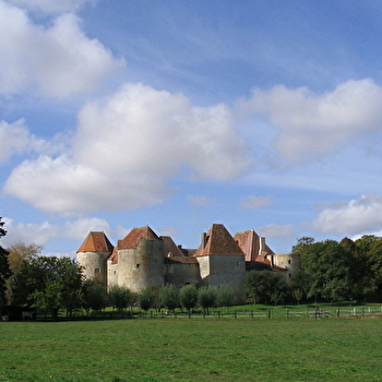 Chateau de la Motte Josserand - PERROY