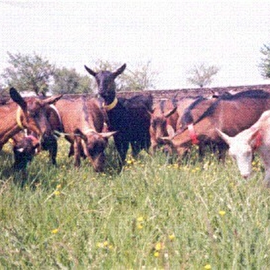 La Ferme des Coteaux