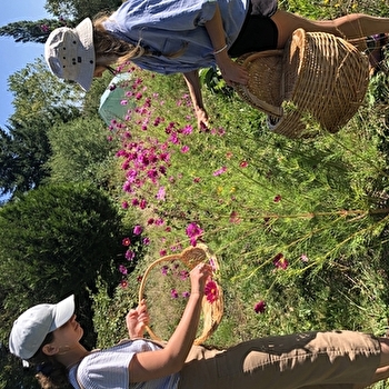 Atelier d’impression florale - CHAUX