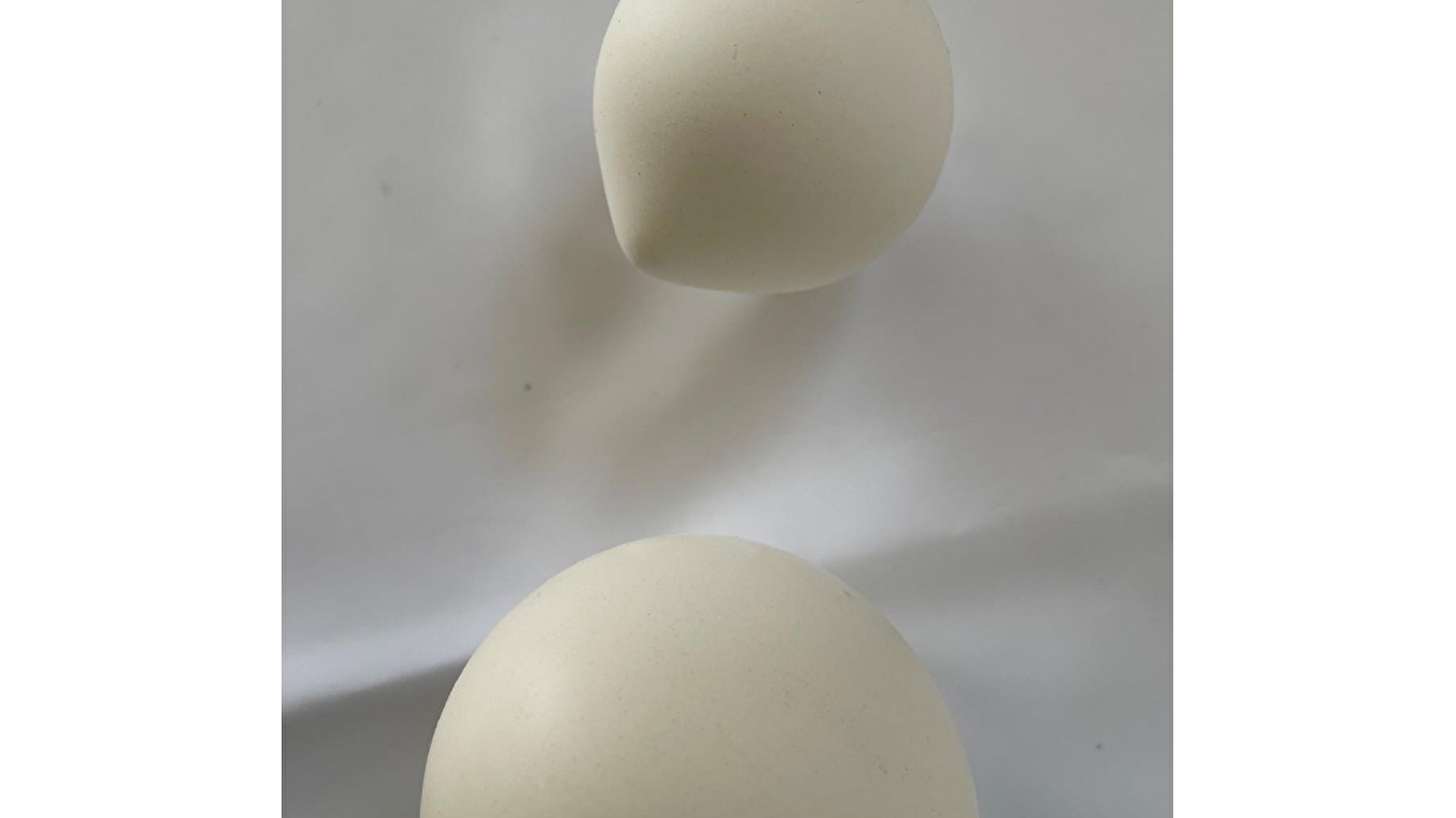 Exposition 'L'harmonie des mains'