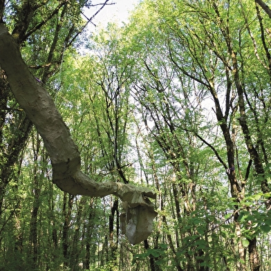 Parc de sculptures Île Art