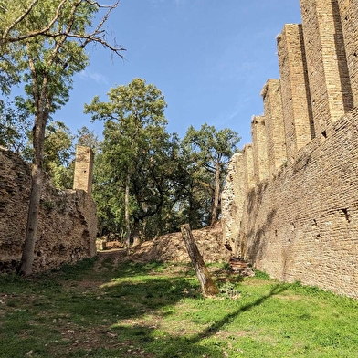 Visite du chateau de Lourdon