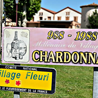 Château Chardonnay