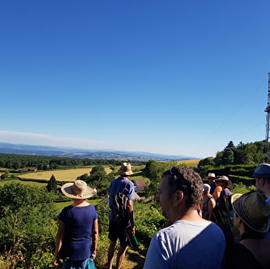 Visite guidée de Mont-Saint-Vincent 