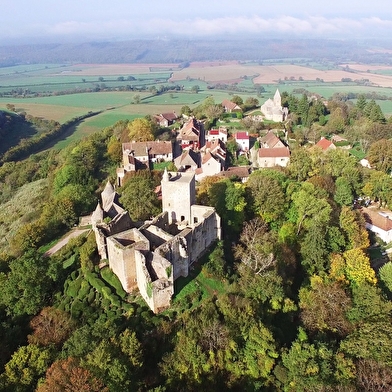 Château de Brancion