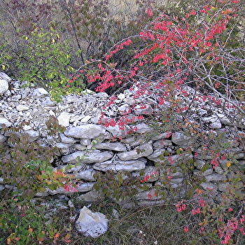 Escapades nature : A la découverte des roches - CUISERY