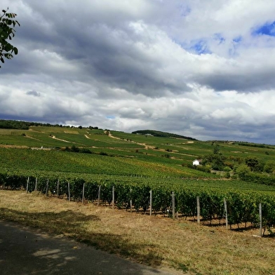 Bastide - Gîte Côté Jardin