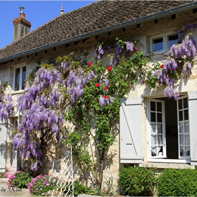 La Maison de Nini