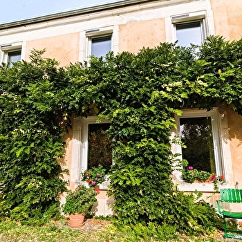 Le Licaraclo - TREIGNY-PERREUSE-SAINTE-COLOMBE