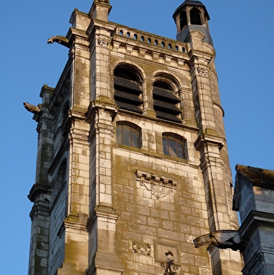 Visites guidées