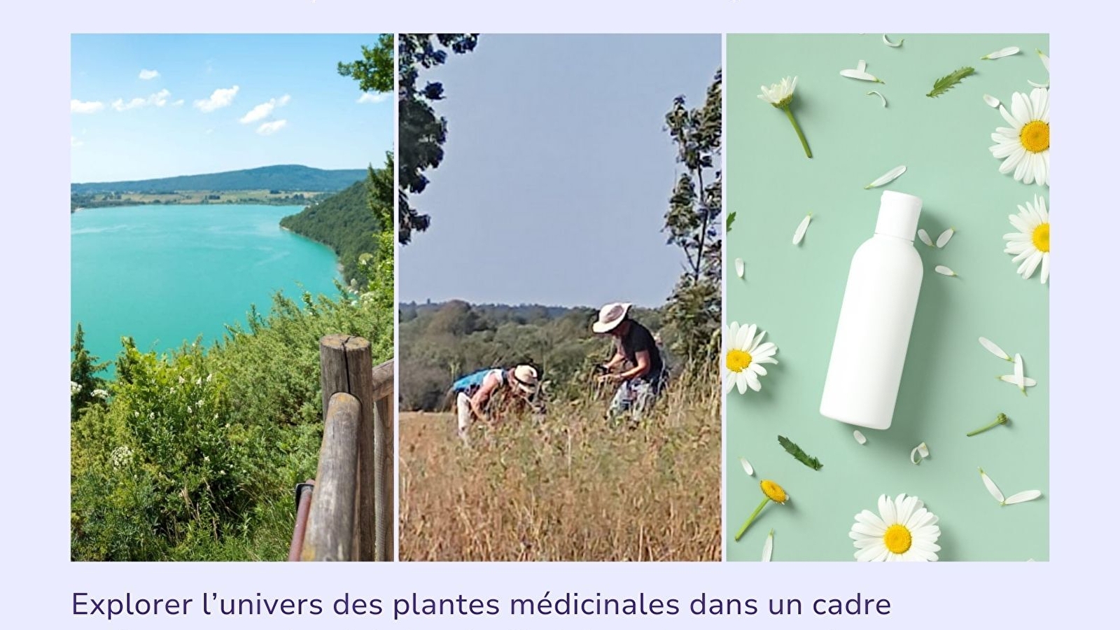 Week-end plantes médicinales