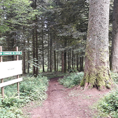 Le Théâtre Forestier