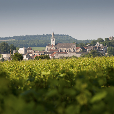 Domaine Ninot (Visite-dégustation - Rully et Mercurey, les secrets de nos terroirs)