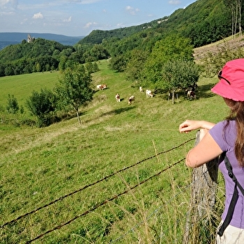 Les Rives et le Château - MONTFAUCON