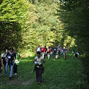 Le Bois des Fouchères - RECOLOGNE