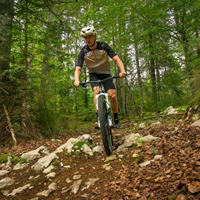 Bike-Park du Fort des Rousses